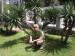 DSCN4953.JPG